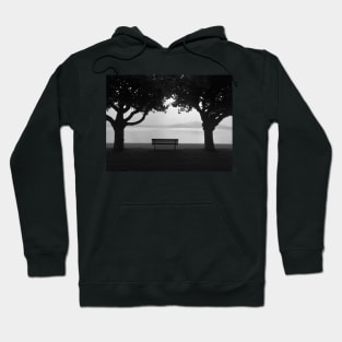 Zugersee (Lake Zug), Switzerland Hoodie